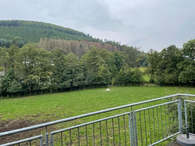 Ferienwohnung Wilzenbergblick 施马伦贝格 外观 照片
